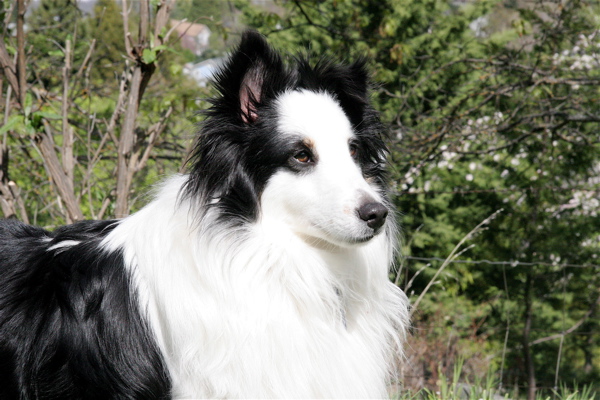IMG_7803.JPG