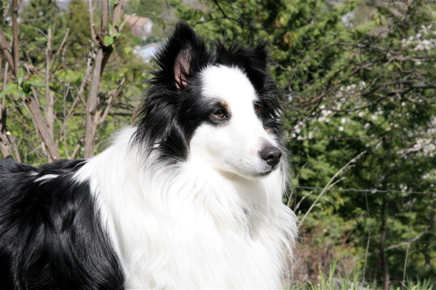 IMG_7803.JPG