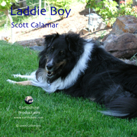 Laddieboysingle