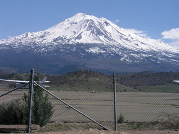 Shasta